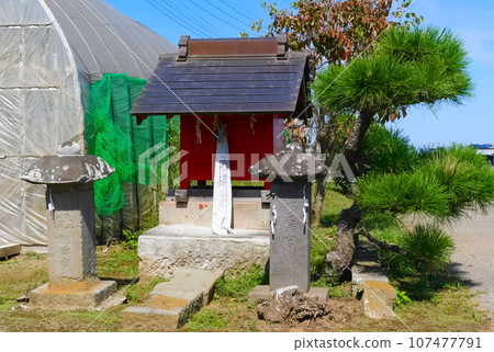 Shrine in Satte City, Saitama Prefecture October 2023 Shrine in Satte City, Saitama Prefecture October 2023 107477791