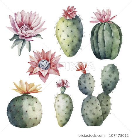 Set of green cacti with flower buds, watercolor illustration Set of green cacti with flower buds, watercolor illustration 107478011