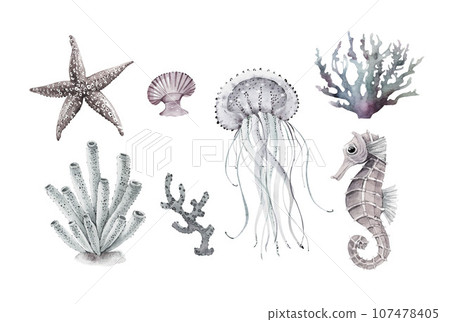 Watercolor set of sea animals isolated on white background. Hand drawn illustration Watercolor set of sea animals isolated on white background. Hand drawn illustration 107478405