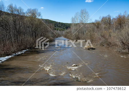 River among the forest in early spring. 107478612