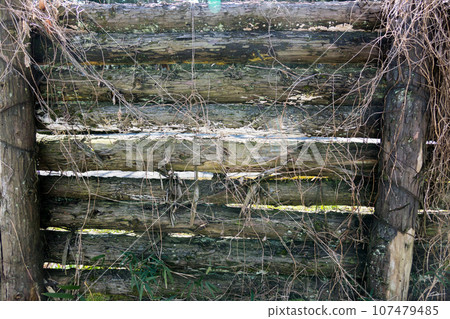 由原木製成的牆 107479485