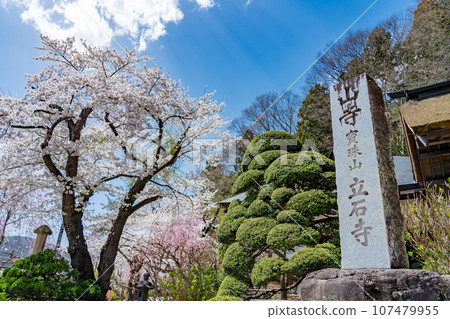 山形縣山形市、立石寺（俗稱山寺）的登山口和春天的櫻花 107479955