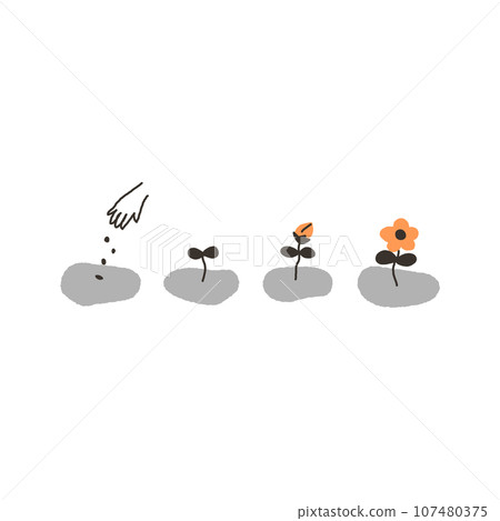 植物生長的過程 植物生長的過程 107480375