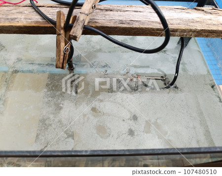 aquarium with metal items undergoing electrolysis aquarium with metal items undergoing electrolysis 107480510