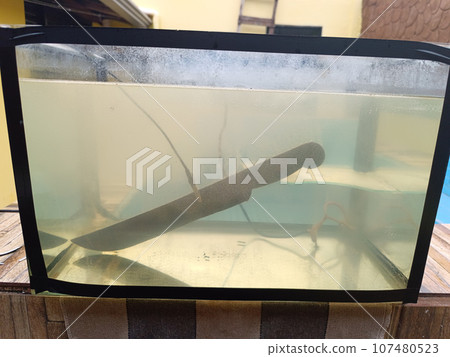 machete undergoing electrolysis process to remove rust machete undergoing electrolysis process to remove rust 107480523