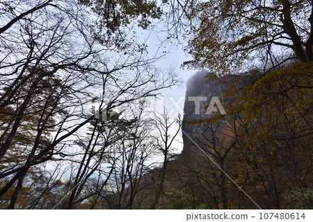 群馬縣荒船山登山 107480614