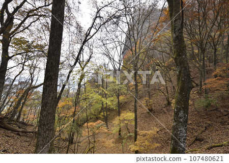 Mt. Arafune, mountain climbing, Gunma Prefecture 107480621