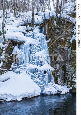 「青森縣」冬天的奧入瀨溪流淺筋瀑布 107480663