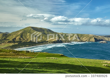Green landscape in New Zealand, bay and hills, pastures Green landscape in New Zealand, bay and hills, pastures 107480926