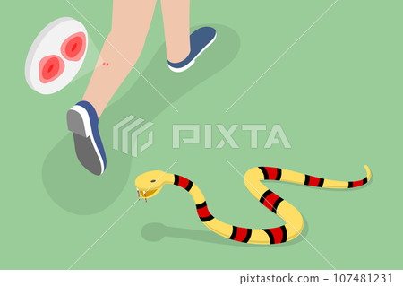 3D Isometric Flat Vector Conceptual Illustration of Poisonous Snake Bit 3D Isometric Flat Vector Conceptual Illustration of Poisonous Snake Bit 107481231