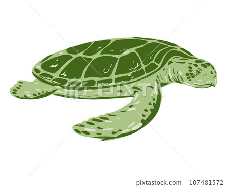 Australian Flatback Sea Turtle Side View WPA Art Australian Flatback Sea Turtle Side View WPA Art 107481572