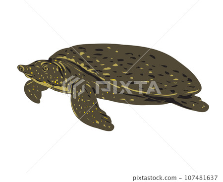 Asiatic Softshell Turtle or Southeast Asian Softshell Turtle Side View WPA Art Asiatic Softshell Turtle or Southeast Asian Softshell Turtle Side View WPA Art 107481637
