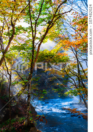 Oirase Stream (Autumn) 107482024