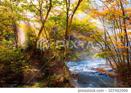 Oirase Stream (Autumn) 107482066
