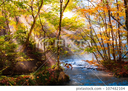 Oirase Stream (Autumn) 107482104