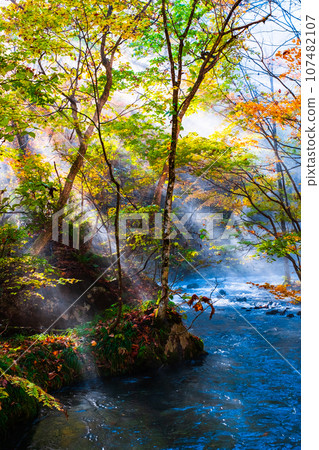 Oirase Stream (Autumn) 107482107