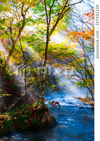 奧入瀨溪流（秋季） 107482109