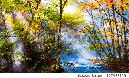 Oirase Stream (Autumn) 107482119