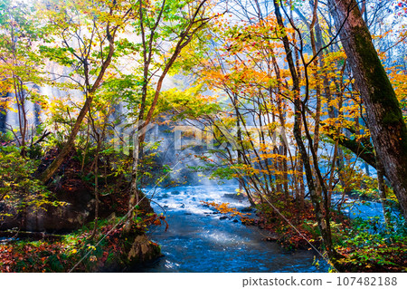 Oirase Stream (Autumn) Oirase Stream (Autumn) 107482188