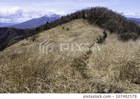 Walk through Kayatohara and aim for Mt. Yokoo Walk through Kayatohara and aim for Mt. Yokoo 107482578