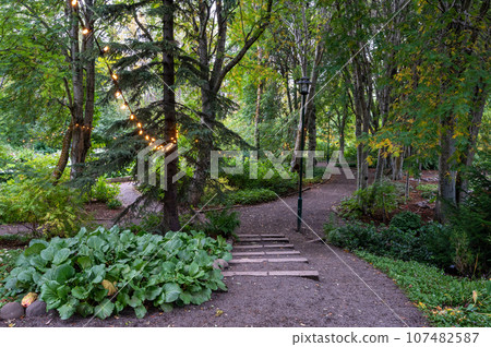 Akureyri Botanical Gardens, Iceland in autumn. 107482587