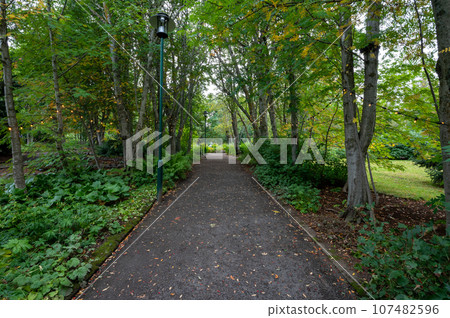 Akureyri Botanical Gardens, Iceland in autumn. 107482596