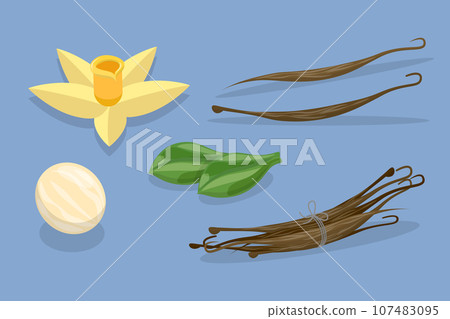 3D Isometric Flat Vector Set of Vanilla Elements 3D Isometric Flat Vector Set of Vanilla Elements 107483095