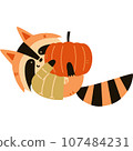 A raccoon in autumn with a pumpkin 107484231