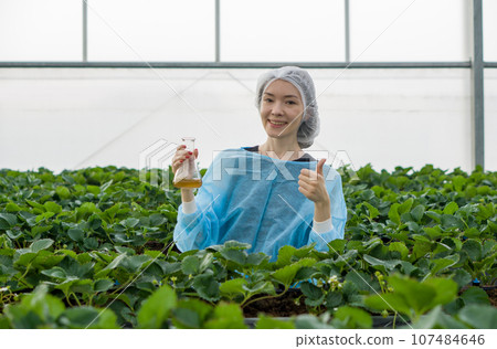 Caucasian female fruit researcher in isolation gown and hairnet poised in a verdant greenhouse, holding an Erlenmeyer flask filled with yellow chemical, radiates serenity amidst nature's bounty. Caucasian female fruit researcher in isolation gown and hairnet poised in a verdant greenhouse, holding an Erlenmeyer flask filled with yellow chemical, radiates serenity amidst nature's bounty. 107484646