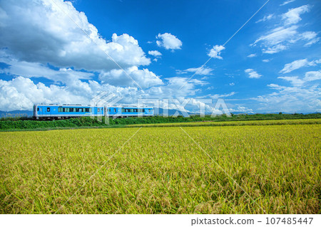 Local train 107485447