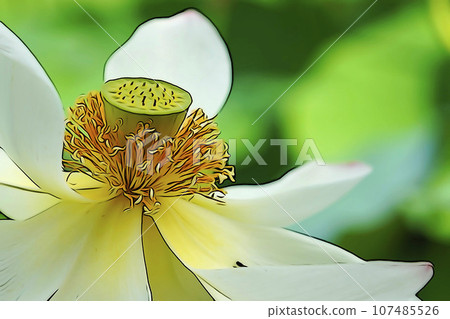 柔和風格的“蓮花”插圖圖像 107485526