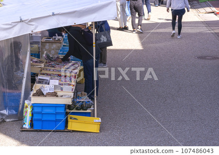 231003 Miyagawa Morning Market g231 107486043