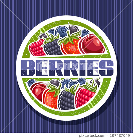 Vector logo for Berries Vector logo for Berries 107487049