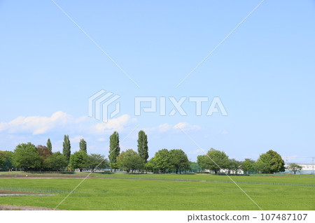 Rural landscape of Chiyoda-cho, Oura-gun, Gunma Prefecture, with its green grasslands 107487107