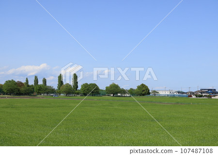 群馬縣大浦郡千代田町的田園風光和綠色的草原 群馬縣大浦郡千代田町的田園風光和綠色的草原 107487108