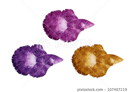 Better Better 107487219