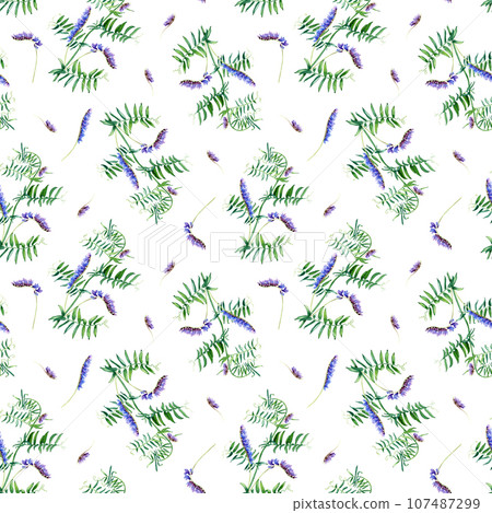 Seamless pattern with grass vetch. Watercolor illustration isolated on white for wrapping, fabric, textile Seamless pattern with grass vetch. Watercolor illustration isolated on white for wrapping, fabric, textile 107487299