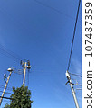Telephone poles and wires under the blue sky 107487359
