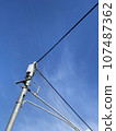 Telephone poles and wires under the blue sky 107487362