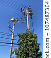 Telephone poles and wires under the blue sky 107487364