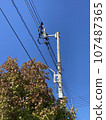 Telephone poles and wires under the blue sky 107487365