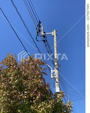 Telephone poles and wires under the blue sky 107487365