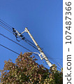 Telephone poles and wires under the blue sky 107487366