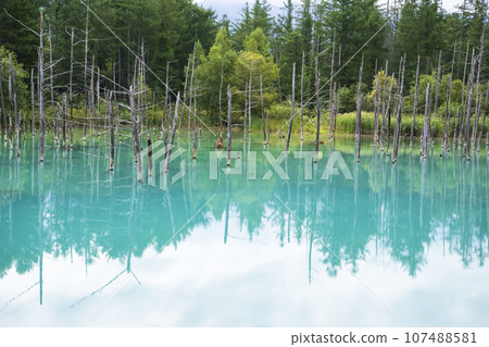 "Shirokane Blue Pond" in Biei, Hokkaido 107488581