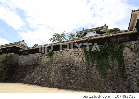 Matsuyama Castle, Ehime Prefecture 107488735