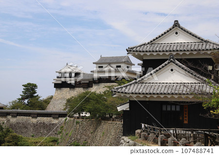 愛媛縣松山城 107488741