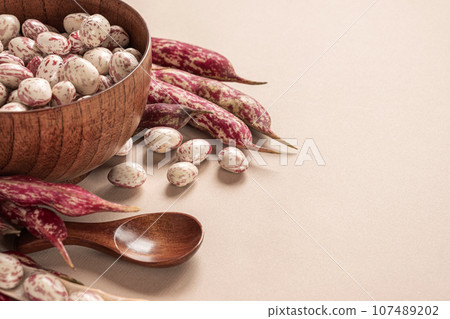 Cranberry beans. Borlotti bean pods in bowl. CloseUp view. Stylish modern food background. Magenta color. Creative foodstuff Image. Grocery, dietary backdrop. Advertising, trendy magazine publication. 107489202