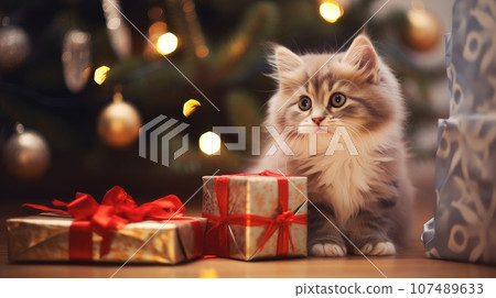 Cute cat near the Christmas tree and gifts. Merry Christmas and Happy New Year concept. 107489633
