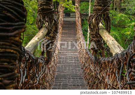 Kazura Bridge in Iya, Tokushima Prefecture, Oboke Iya Kazura Bridge in Iya, Tokushima Prefecture, Oboke Iya 107489913