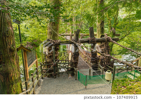 Kazura Bridge in Iya, Tokushima Prefecture, Oboke Iya Kazura Bridge in Iya, Tokushima Prefecture, Oboke Iya 107489915